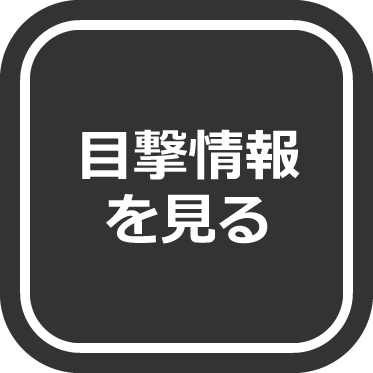 目撃情報を見る